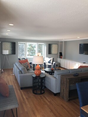 Smart TV, caminetto, libri, studio