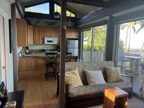 Smart TV, DVD player, books, video library