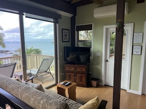 Smart TV, DVD player, books, video library