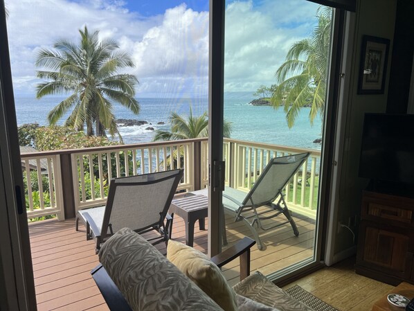 Smart TV, DVD player, books, video library