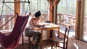 A cabin interior with a wooden table, a hammock, and a large window overlooking a forest. - Mökki Hovland Hut - A Unique Glass Wall Timber Frame Nestled in a Maple Forest (East Cook)
