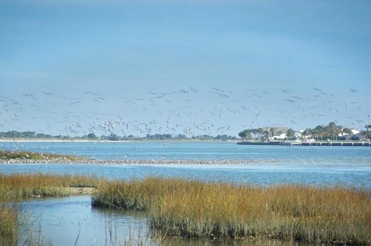 Photo 20 of An irresistable oceanfront vacation home in the heart of historic St Augustine!