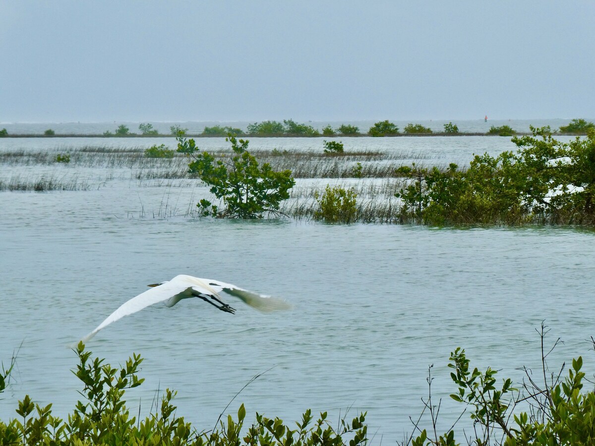 Photo 45 of An irresistable oceanfront vacation home in the heart of historic St Augustine!