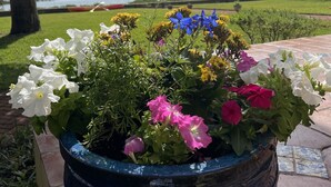 A flower pot with various flowers on a patio with a view of a body of water and a bridge in the background. - An irresistable oceanfront vacation home in the heart of historic St Augustine! (St Augustine)