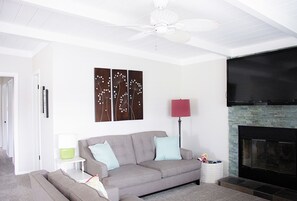 Smart TV, fireplace, video games, books