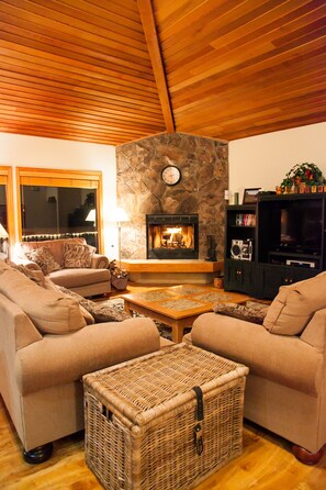 Smart TV, chimenea, reproductor de DVD y libros