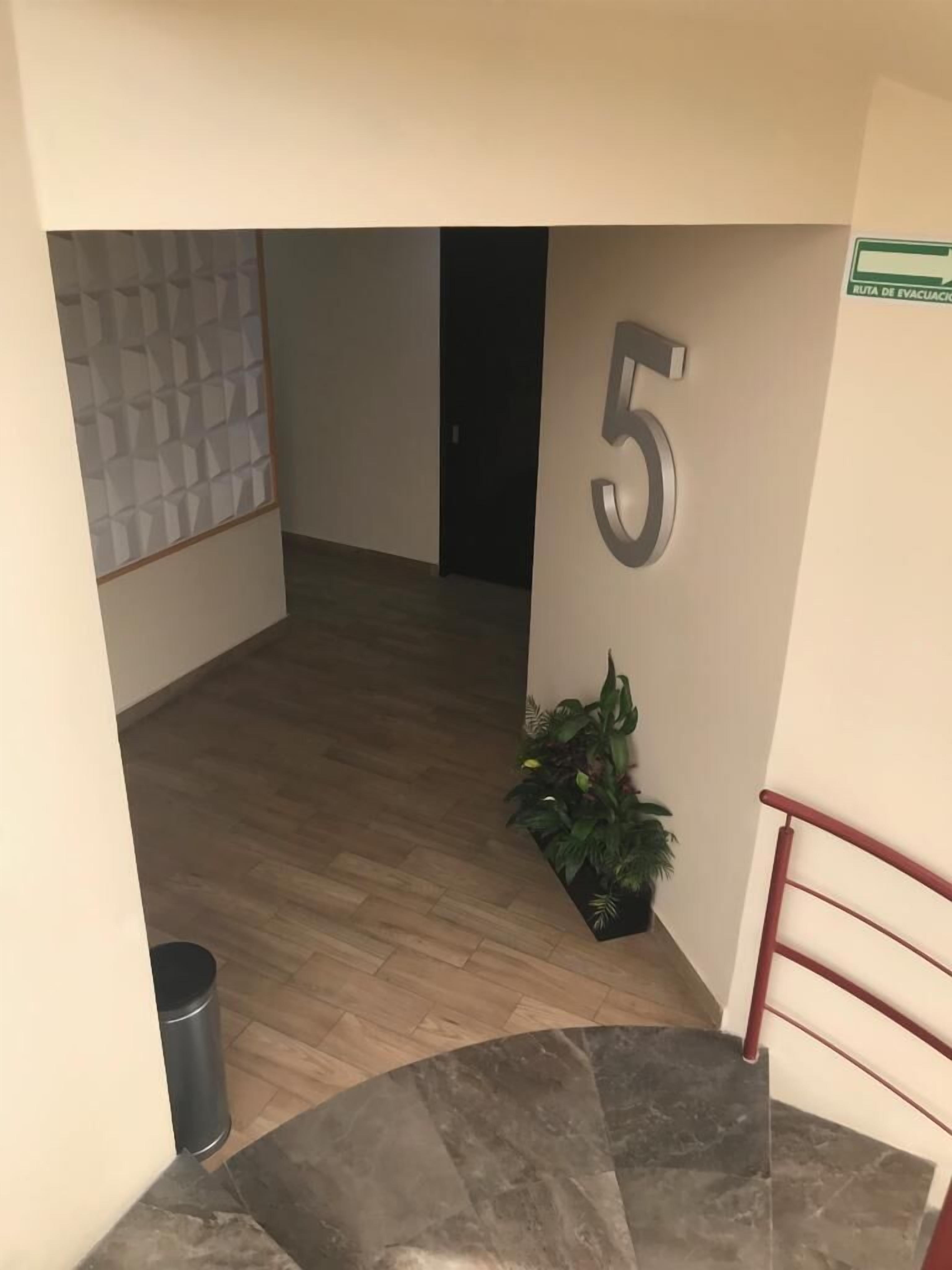 A hallway with a wooden floor, a number '5' on the wall, a potted plant, and a trash can.