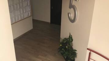 50-inch Smart TV with cable channels, TV, Netflix