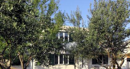 Mocici apartments