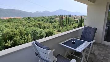 Apartamento, 1 habitación | Balcón