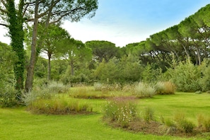 Property grounds - House with 6 Bedrms, 5 Bathrms, 5min walk trough a private grove to the beach (Marina di Bibbona)