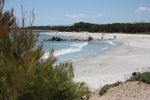 A beach with clear blue water, sandy shore, and some greenery in the foreground.