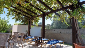Une terrasse extérieure avec des chaises en osier et des coussins bleus, une pergola recouverte de plantes grimpantes et un pot de fleurs.