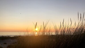 Solnedgang over en strand med højt græs i forgrunden.