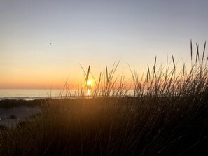 Beach - Stylish and Spacious Apartment with Sunny Rooftop Terrace In the Heart of Bergen (Bergen)