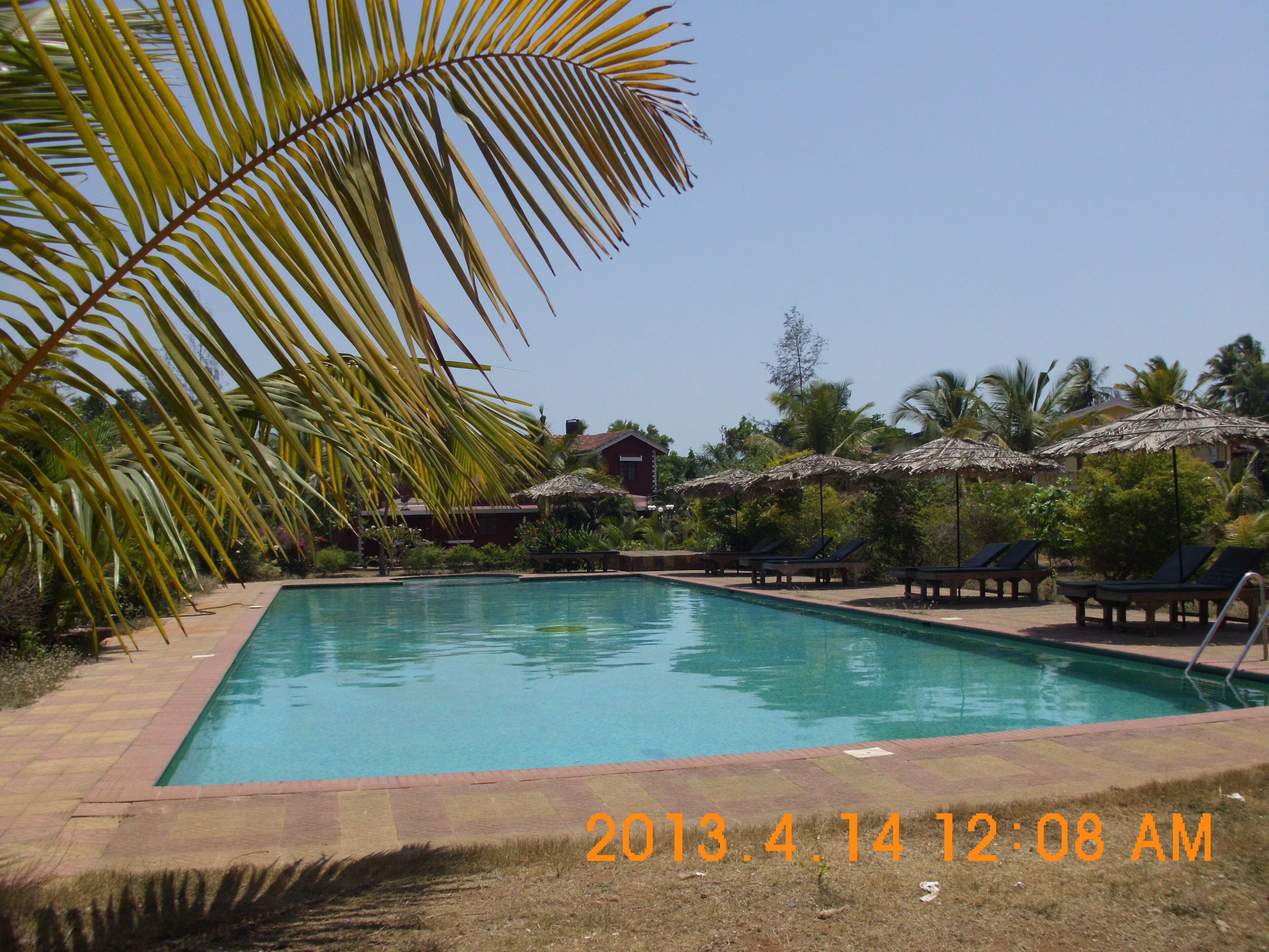 Olympic size swimming Pool