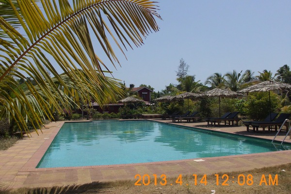 Olympic size swimming Pool