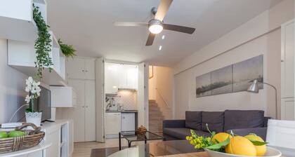 IMPECCABLE APARTMENT WITH MAGNIFICENT VIEWS. WIFI. A / C.