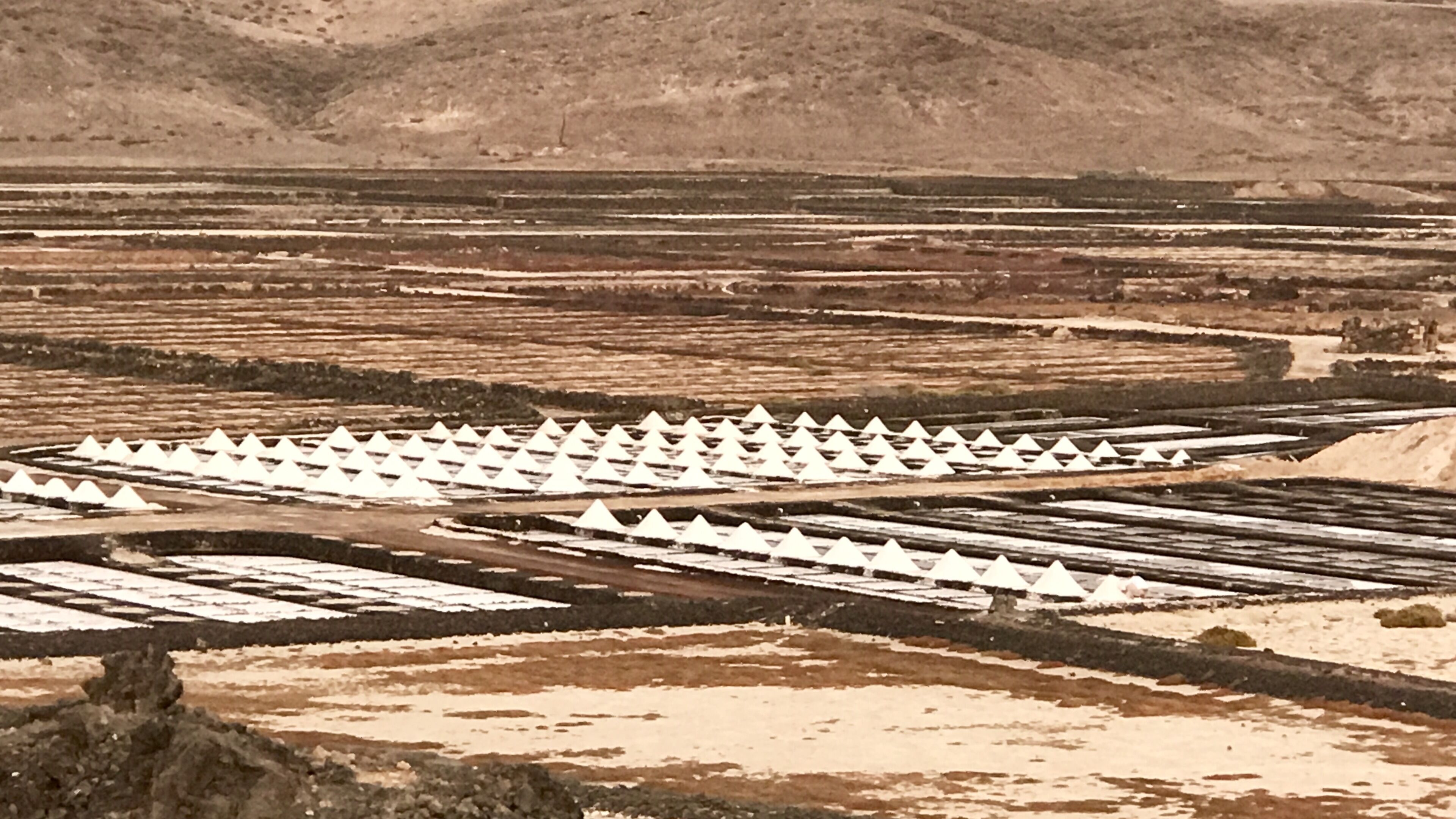 A vast salt flat with numerous white salt mounds arranged in rows.