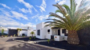 Un edifici modern amb façana blanca, un mur de pedra i una palmera al primer pla.