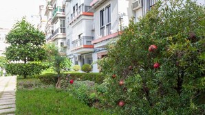 A residential area with a row of multi-story buildings, a well-maintained garden with potted plants, and a paved pathway. - Live the most authentic Seville TRIANA ↑ Qualities (Sevilla)