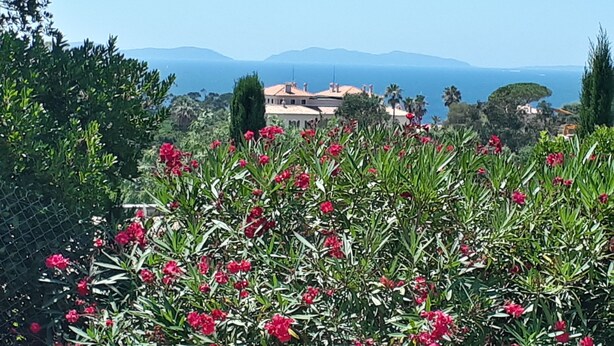 A coastal landscape with a view of the sea, a building with a red roof, and red flowers in the foreground. - Villa with a stunning ocean view and a quiet, shaded terrace; air-conditioned bedrooms (La Croix-Valmer)