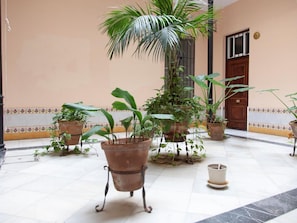Cozy indoor space with a decorative border and potted plants.