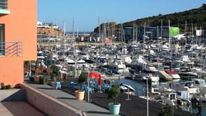 Un puerto deportivo con numerosos barcos amarrados, cielo despejado y una colina al fondo.