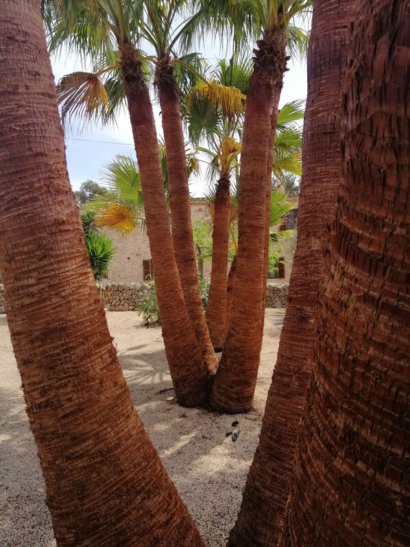 Property grounds