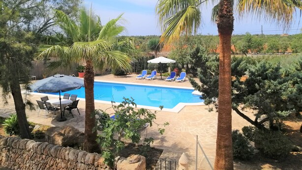 Zona de piscina con sillones de descanso y sombrillas, rodeada de palmeras y un muro de piedra.