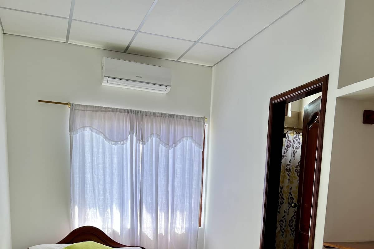Couette en duvet d'oie, rideaux occultants, fer et planche Ă repasser