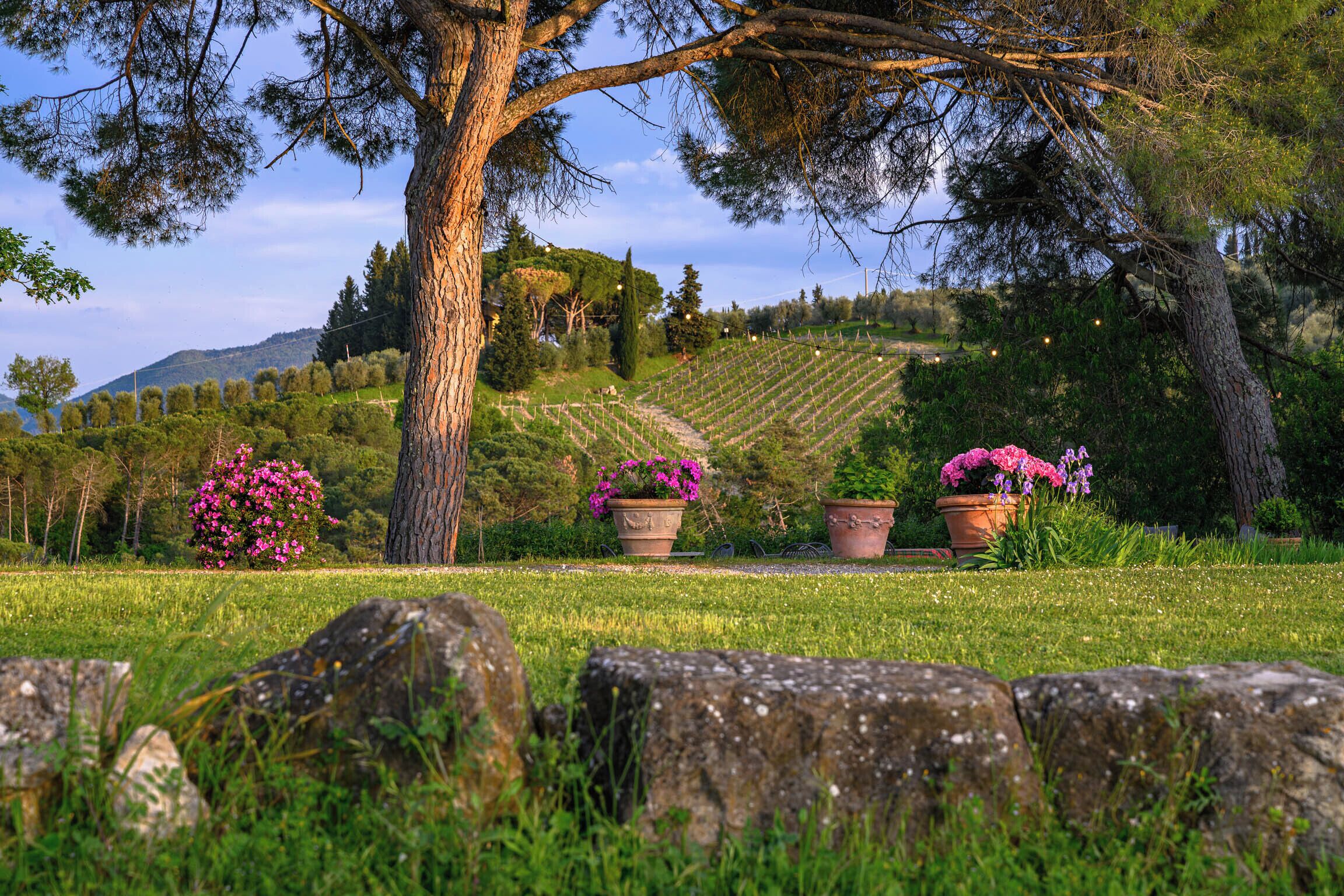 Áreas de la propiedad