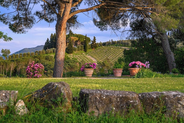 Áreas de la propiedad