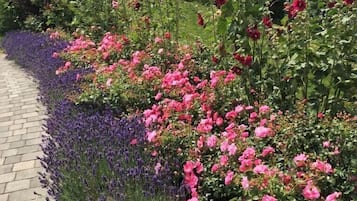 Overnatningsstedets område