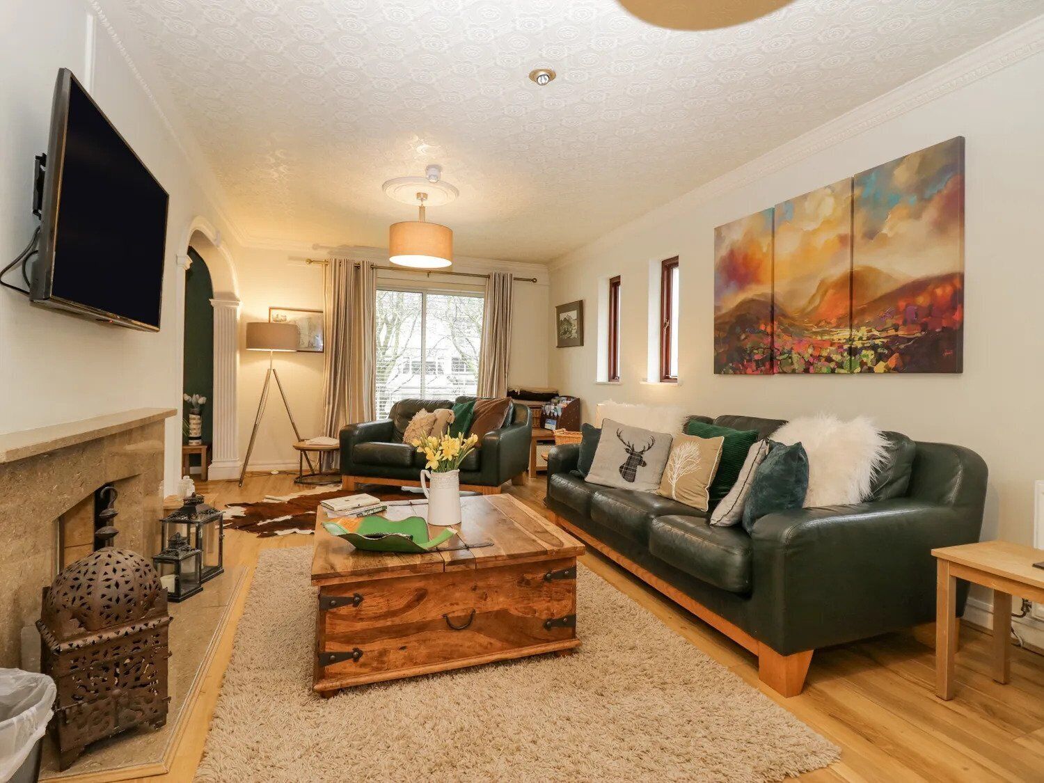 Smart TV, fireplace, books