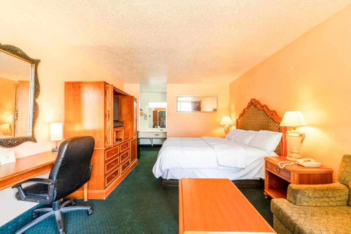 Una habitación de hotel con cama, escritorio, silla y cómoda.