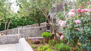 Ein Garten mit Steinmauer, Topfpflanzen und blühenden Rosen.