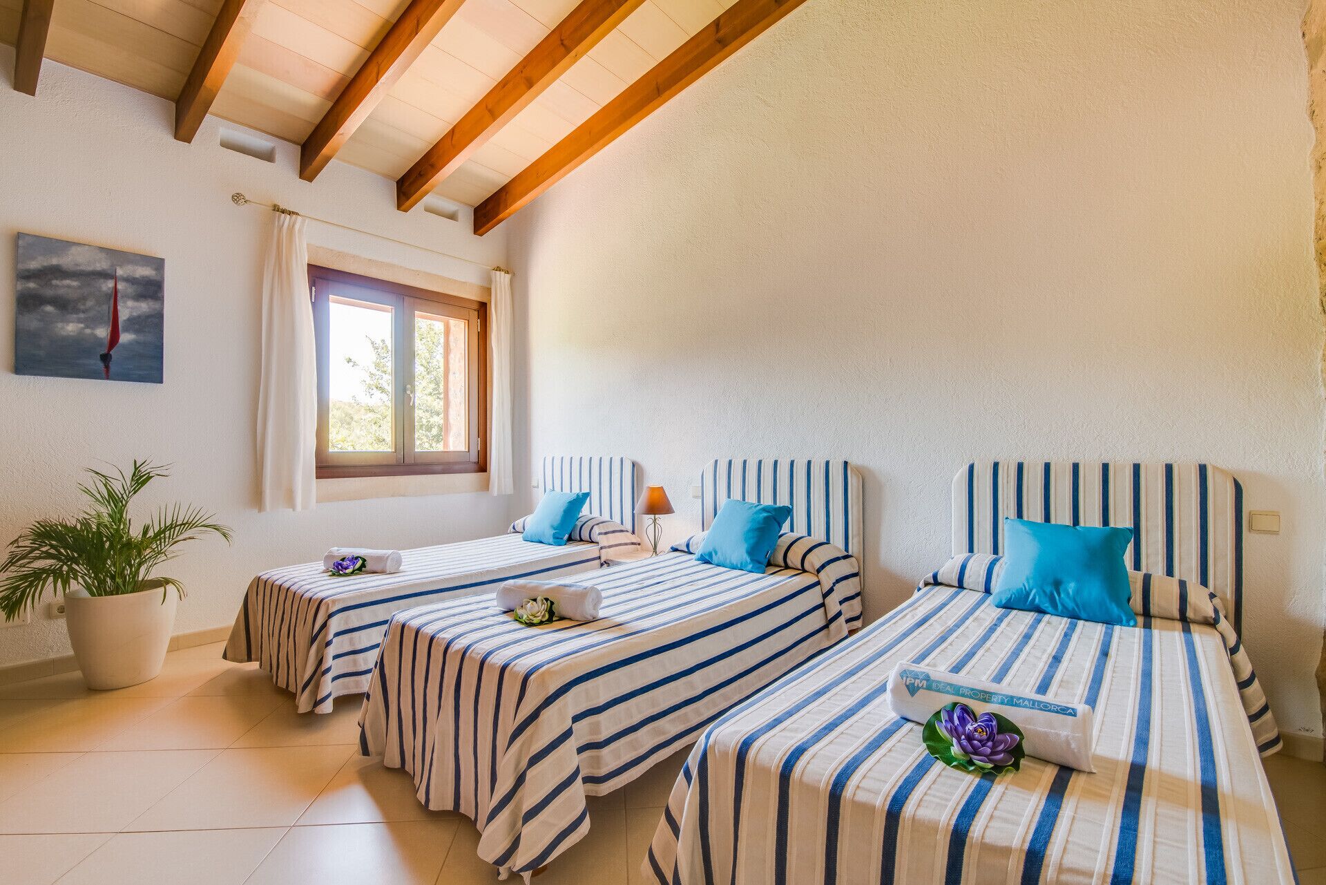 A room with three beds, each with striped bedding, a potted plant, and a painting on the wall.