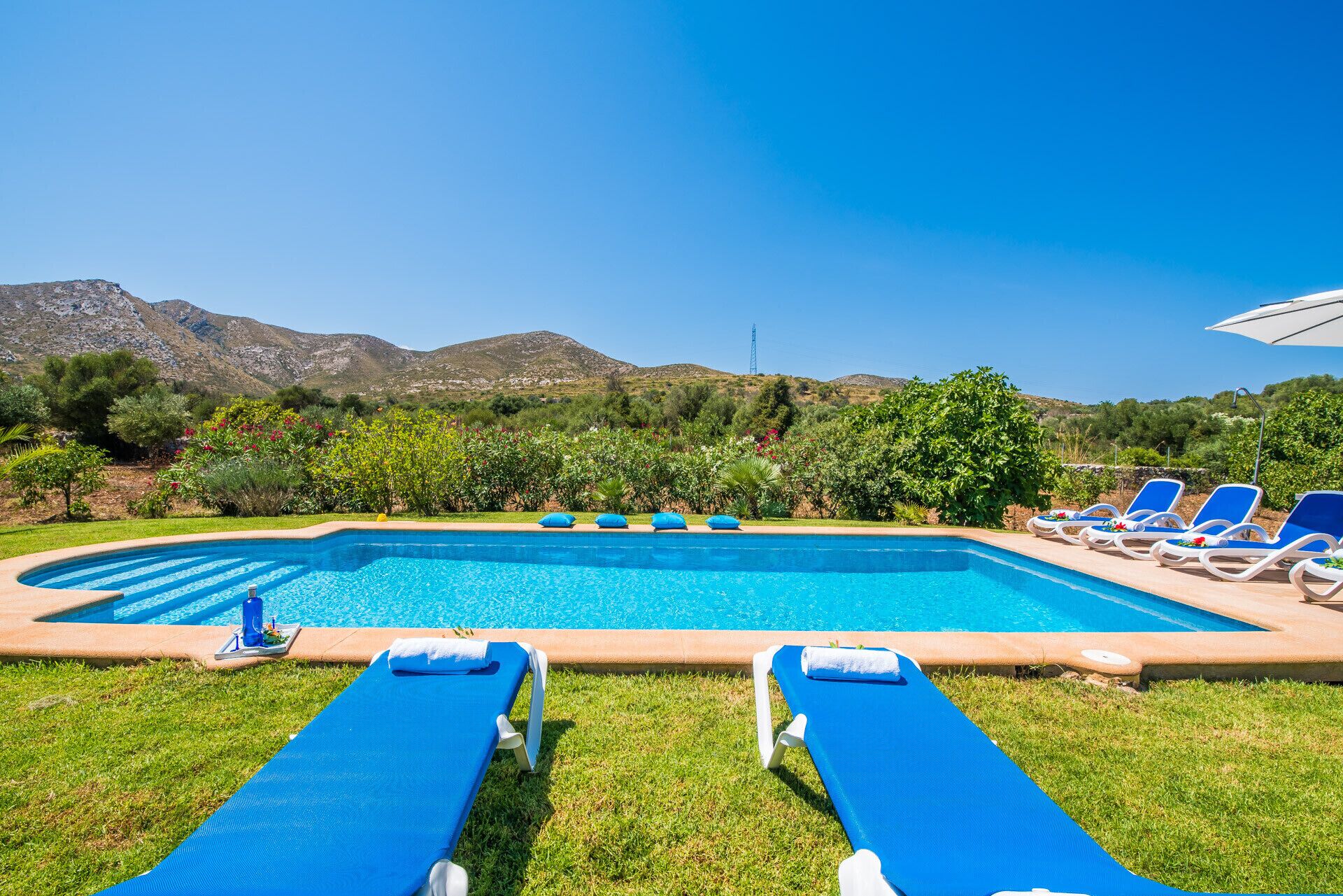A swimming pool with blue lounge chairs and a grassy area.