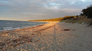Plage à proximité