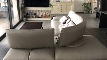 Télévision, cheminée, lecteur de DVD, livres