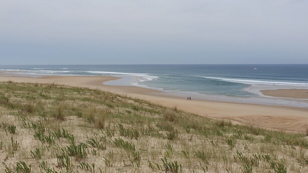 Een strand met duinen en uitzicht op de oceaan.