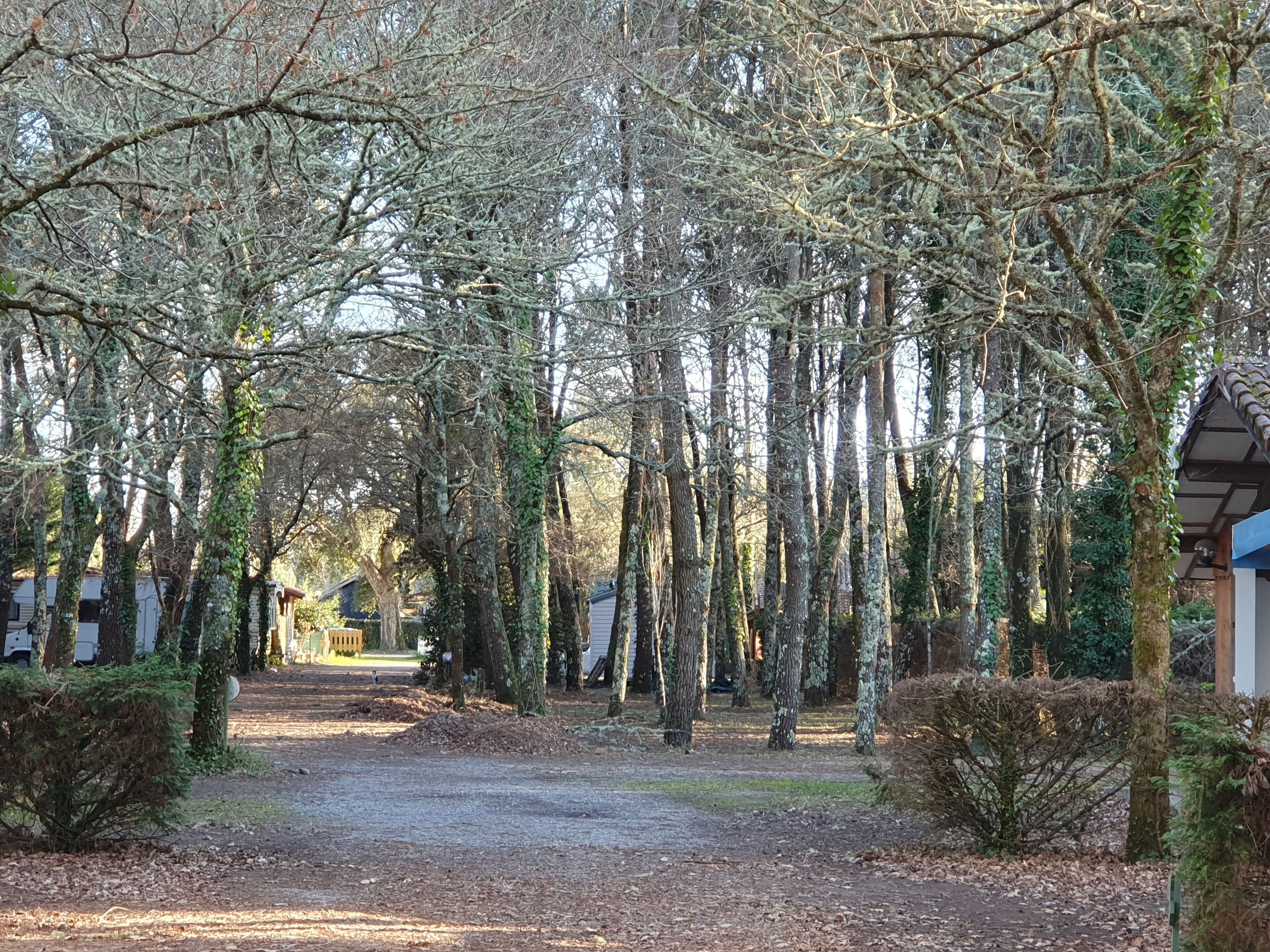 Área da propriedade