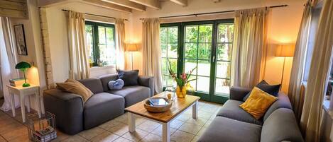 TV connectée, cheminée, lecteur de DVD, livres