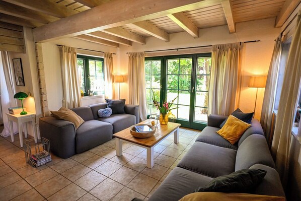 TV connectée, cheminée, lecteur de DVD, livres