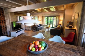 TV connectée, cheminée, lecteur de DVD, livres