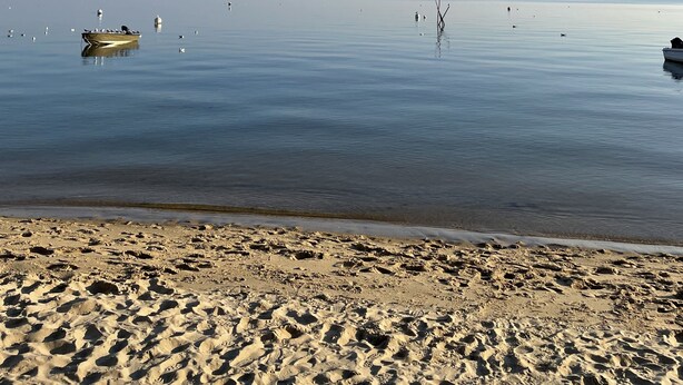 A beach with calm water, boats, and birds.