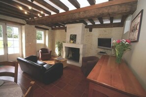 Télévision, cheminée