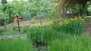 Terrein van de accommodatie