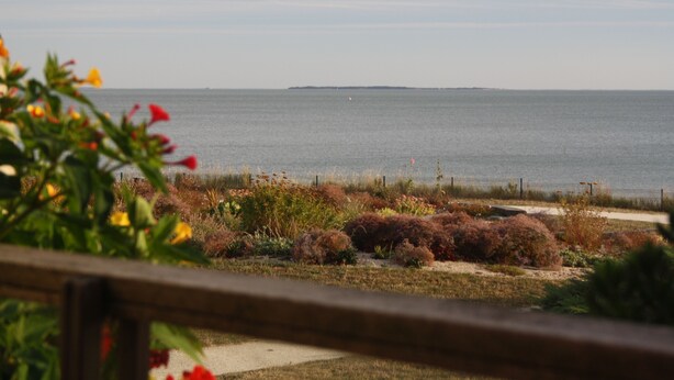 A coastal view with a sandy beach, a fence, and various shrubs and flowers in the foreground. - 3 room apartment La Rochelle Les Minimes - Seaside (La Rochelle)